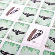 BirdMatch bird-themed matching game cards on a green and white background