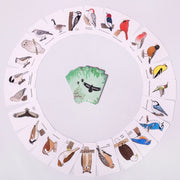 Set of bird-themed cards arranged in a circular pattern on a white background.