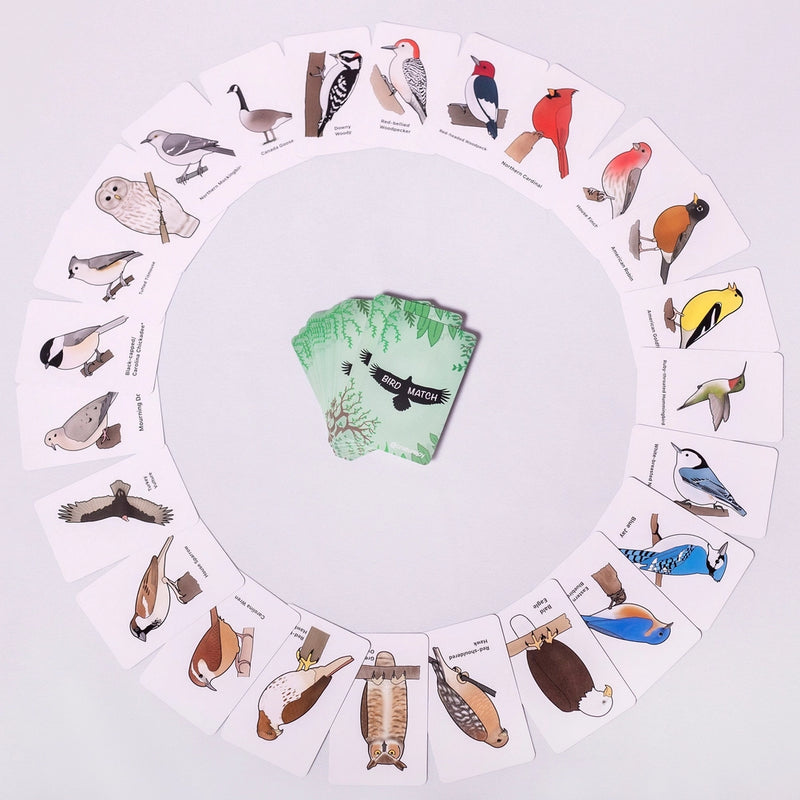 Set of bird-themed cards arranged in a circular pattern on a white background.