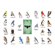 Illustrations of birds in the BirdMatch memory deck with labels on a white background