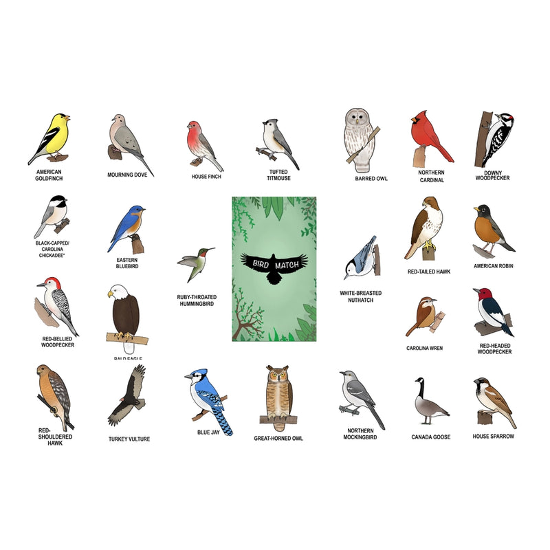 Illustrations of birds in the BirdMatch memory deck with labels on a white background