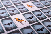 Bird-themed memory card game pieces with birds on cards.