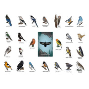 Illustrations of various birds with a 'Bird Match' cover image in the center on a white background