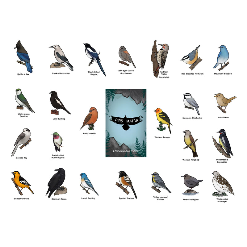 Illustrations of various birds with a 'Bird Match' cover image in the center on a white background