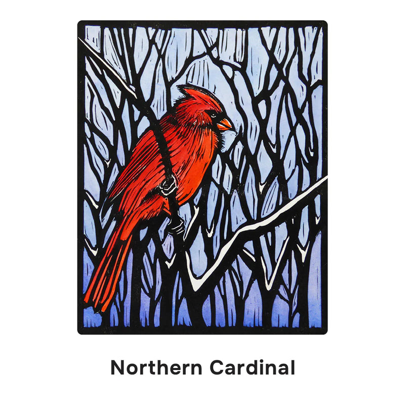 Molly Hashimoto illustration of a red Northern Cardinal bird on a branch with a blue and black background.