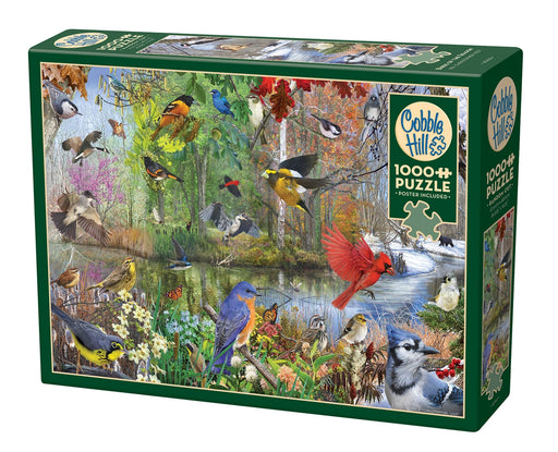 Cobble Hill 1000 piece puzzle box with bird illustrations on a white background