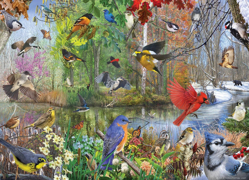 Birds of the Season illustration featuring wild songbirds in natural setting