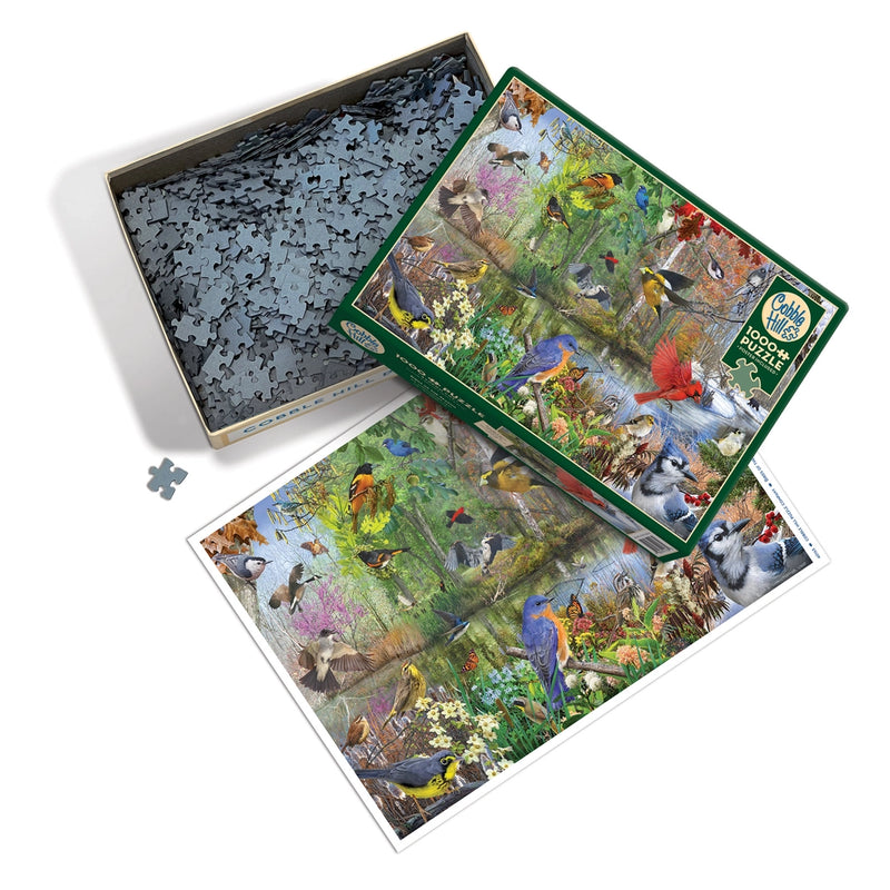 Bird-themed puzzle set with colorful 4-season illustrations on a white background