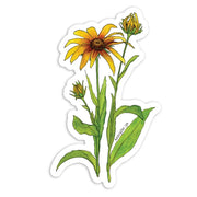 Sticker featuring botanical illustration of a Black Eyed Susan summer wildflower - yellow flowers with green foliage on white background