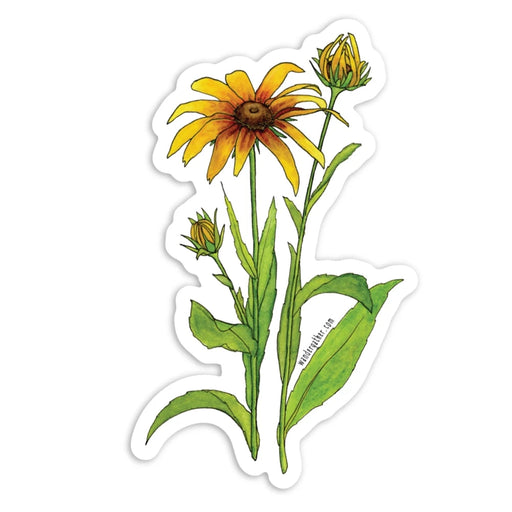 Sticker featuring botanical illustration of a Black Eyed Susan summer wildflower - yellow flowers with green foliage on white background