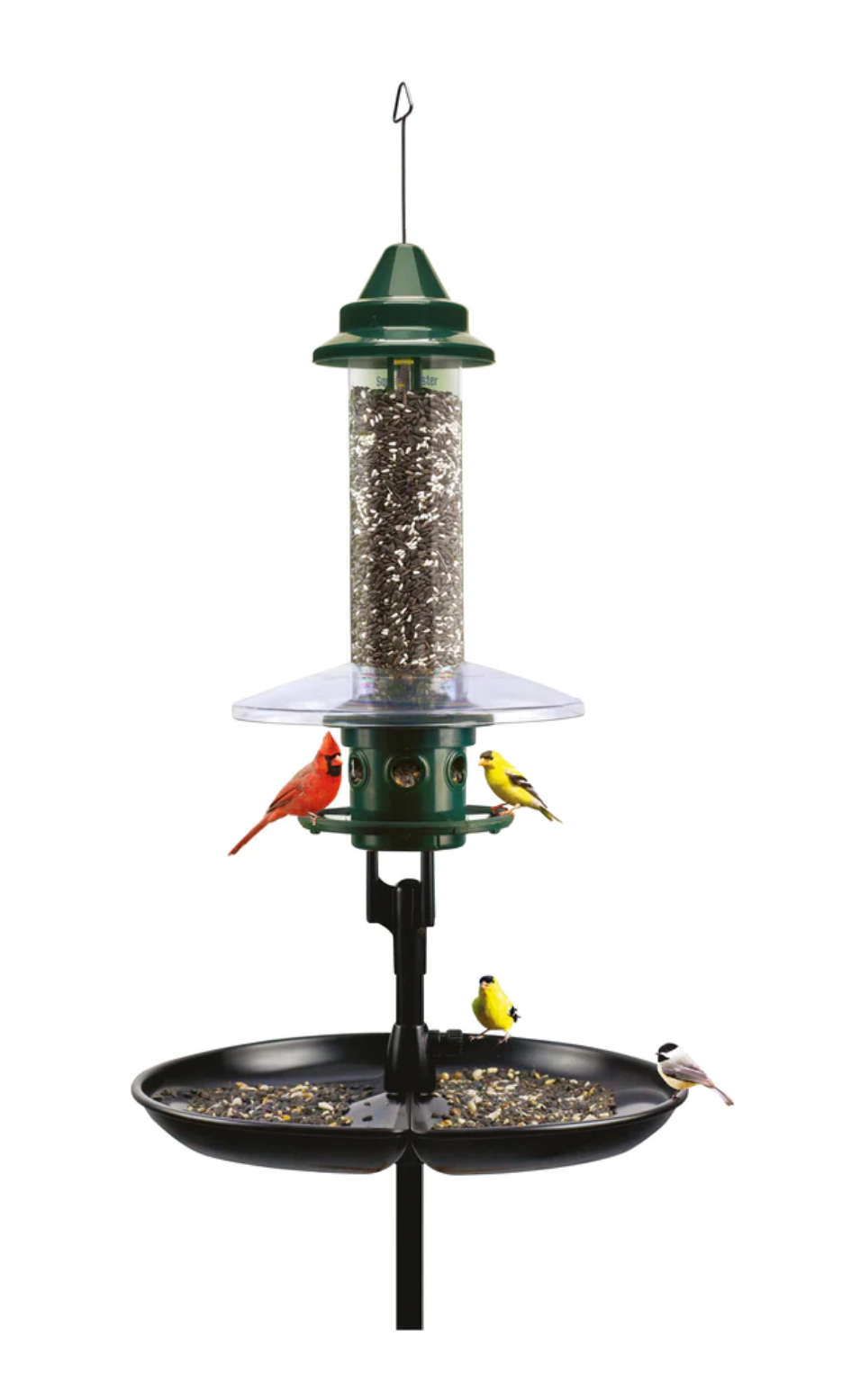 Squirrel Buster Plus Podium Squirrel Proof Bird Feeding Kit — Nature Niche