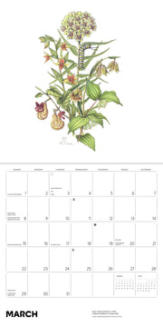 Calendar page for March with a botanical illustration of flowers, leaves and a caterpillar on a white background.