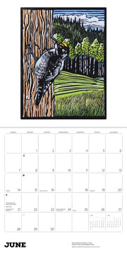 Calendar page for June with a woodpecker illustration and a scenic background.