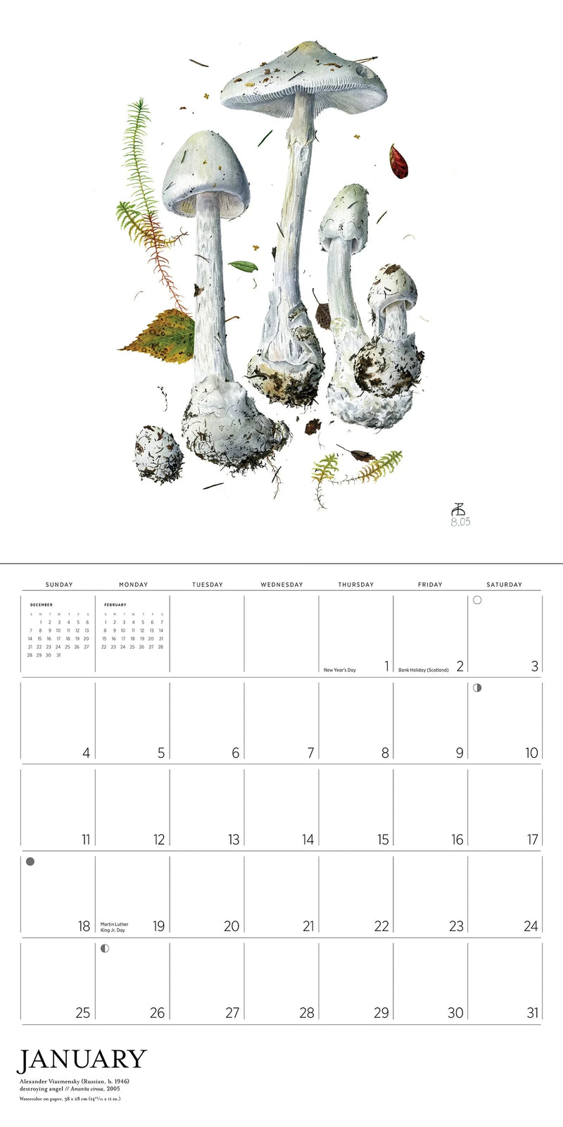 Calendar with a design of mushrooms and leaves on a white background