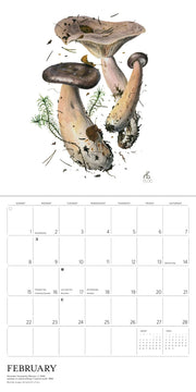 Calendar page for February with mushrooms and a white background