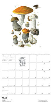 Calendar page with illustrations of mushrooms on a white background