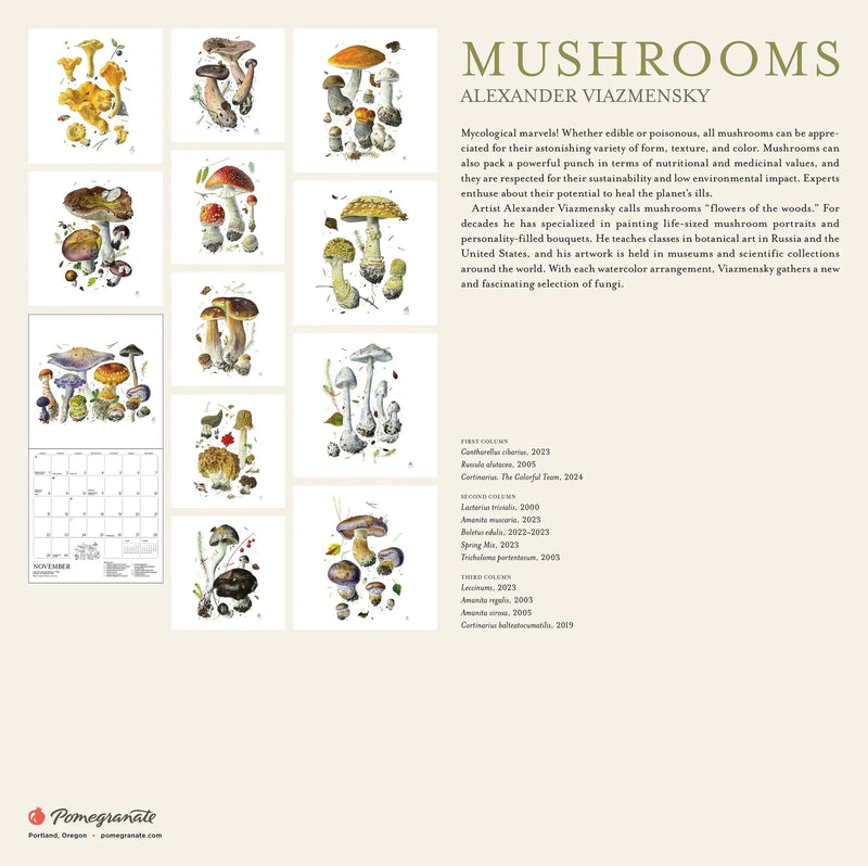 Back of calendar with Illustrations of various mushrooms with descriptive text on a beige background
