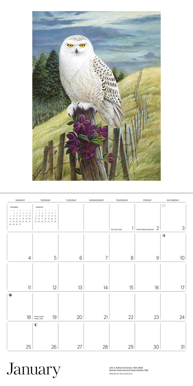 Calendar with an owl illustration on a white background