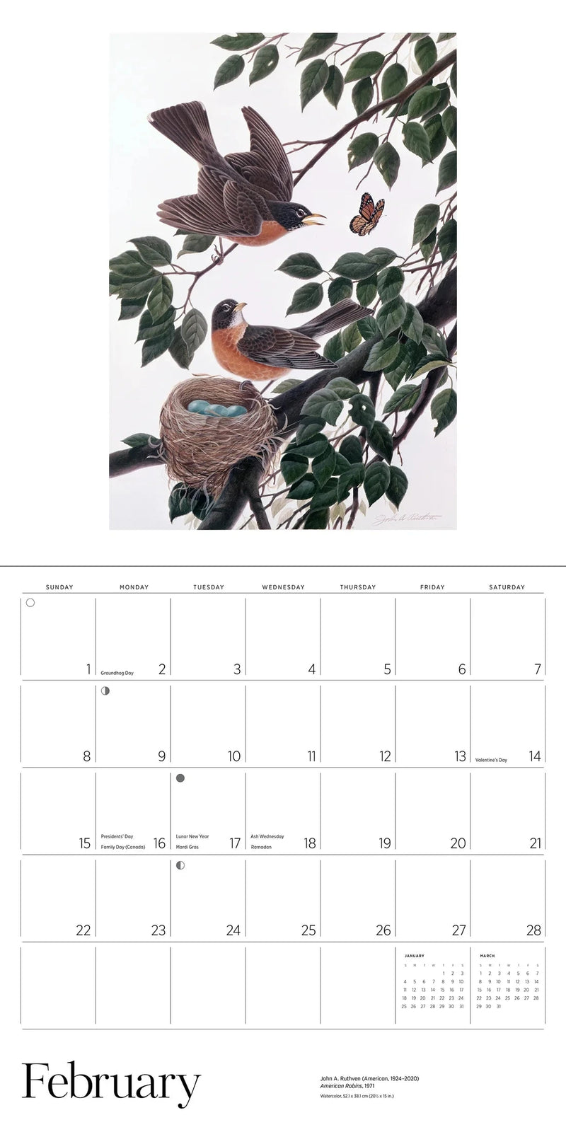 Calendar page with bird illustration and February month display