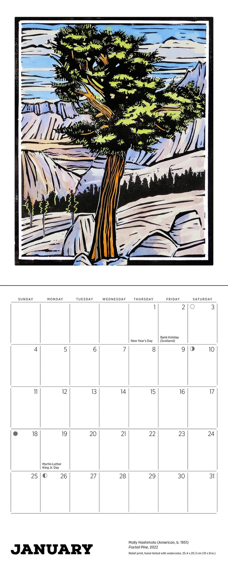 Molly Hashimoto: Lush Landscapes 2026 Mini Wall Calendar