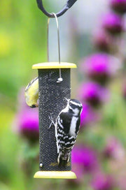 Gold finch and Downy Woodpecker perched on a nyjer feeder with a blurred natural background