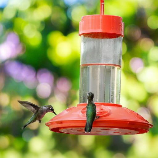 Dr JBs hummingbird feeder with three hummingbirds interacting against a blurred garden background