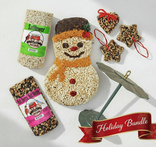 A collection of bird feeding items including a snowman-shaped seed cake, heart and star shaped seed cakes, a safflower seed cylinder, a fruit berry nut medley seed cylinder, and a cylinder seed cake holder.