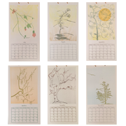 Six calendar pages with botanical illustrations for each month on a white background.