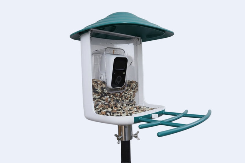 Bird feeder with a camera on a white background