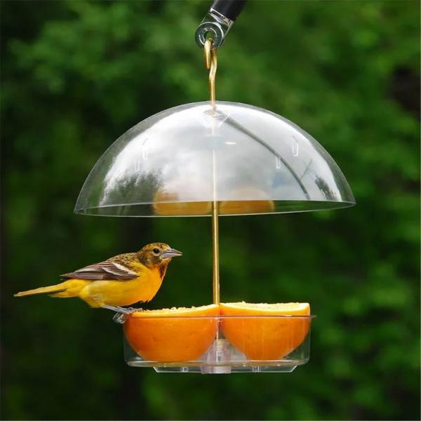 Seed Saver Domed Feeder
used for oranges for orioles