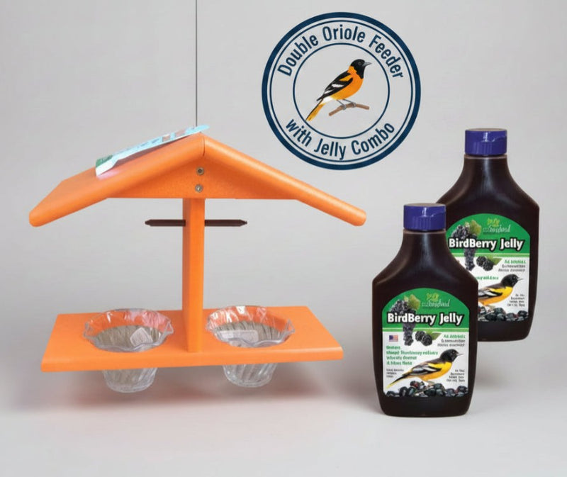 Double Oriole Feeder with Jelly Combo