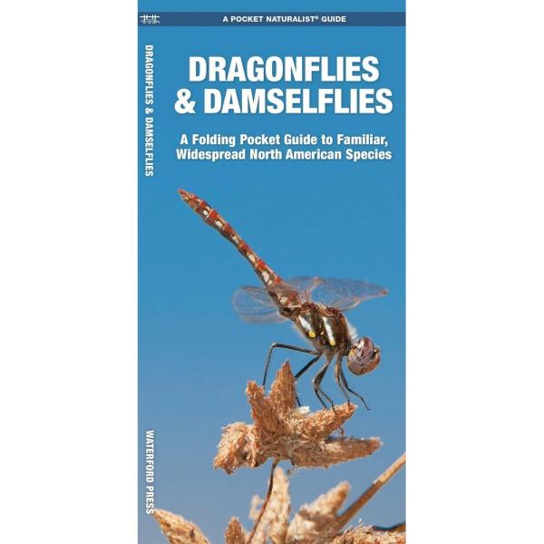 Dragonflies and Damselflies
Quick guide