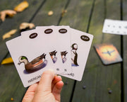 Hand holding playing cards with duck illustrations