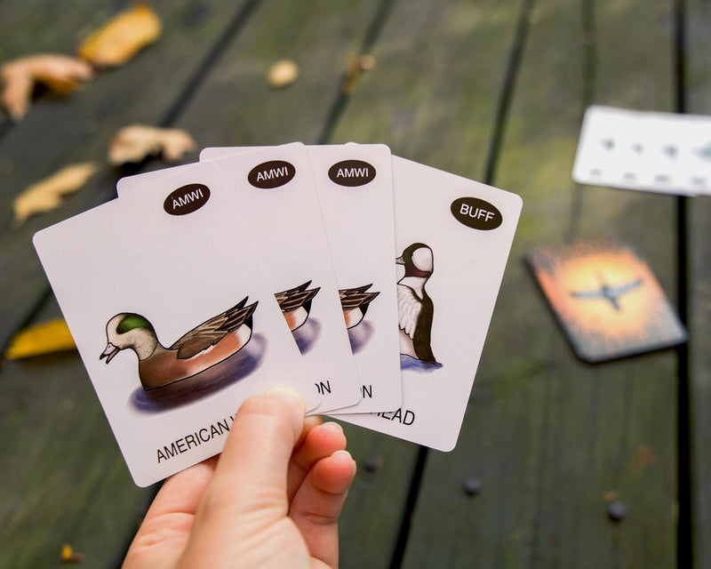 Hand holding playing cards with duck illustrations