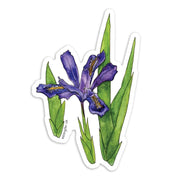 Sticker showing blue iris flower and green foliage on white background
