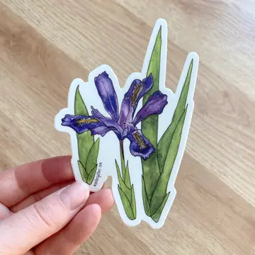 Hand holding a sticker of a blue iris flower and green foliage on white background