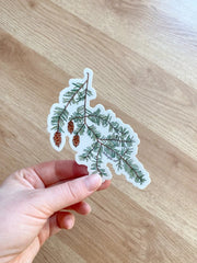 Hand holding sticker with evergreen branches and brown pinecones on a white background