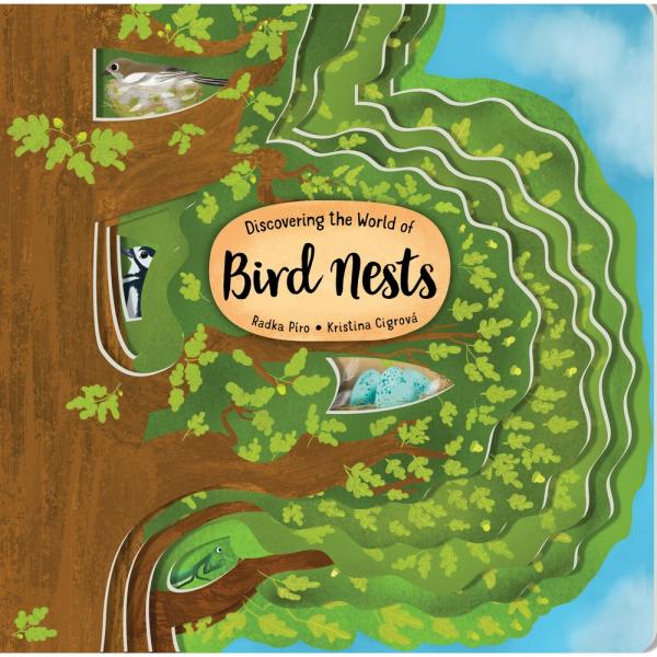 Discovering the World of Bird Nests - Board Book