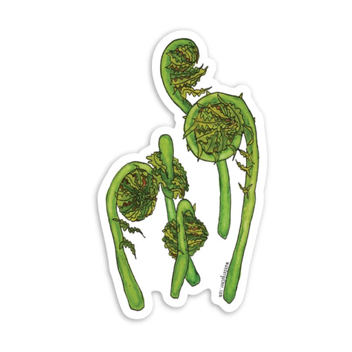 Sticker with botanical illustration of green fiddlehead fern fronds on a white background