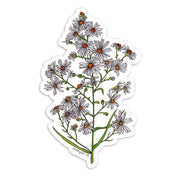 Sticker featuring frost aster light purple flowers and green foliage on white background