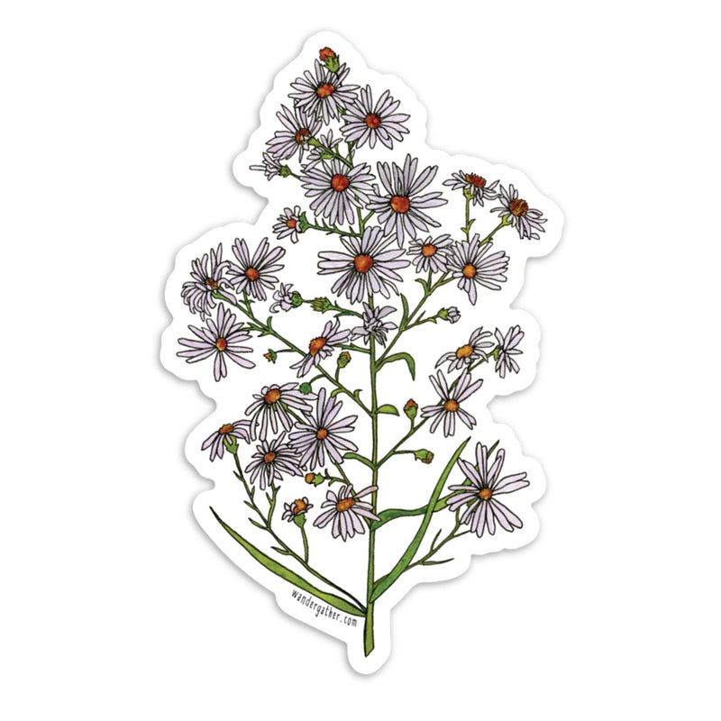 Sticker featuring frost aster light purple flowers and green foliage on white background