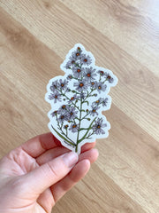 Hand holding a frost aster floral sticker