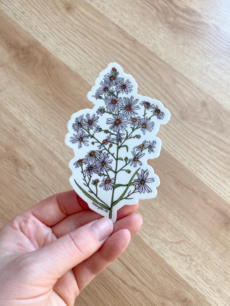 Hand holding a frost aster floral sticker