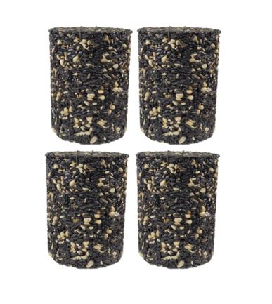 4 PackFruit Berry Nut Seed Cylinder - Large - 4 lbs.