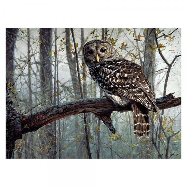 1000 piece puzzle of  a barred owl perched on a branch in a gloomy forest setting