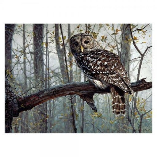1000 piece puzzle of  a barred owl perched on a branch in a gloomy forest setting