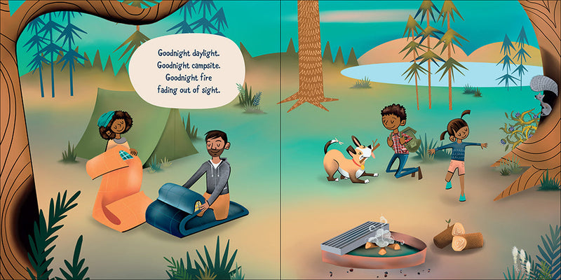Goodnight Great Outdoors Board Book