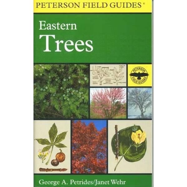 green cover of book features images of various trees and leaves