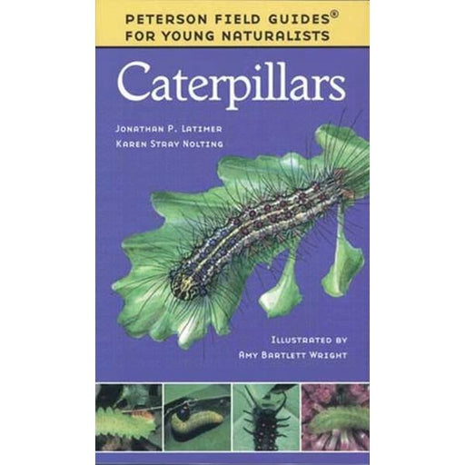 book cover purple background featuring a caterpillar on a leaf 