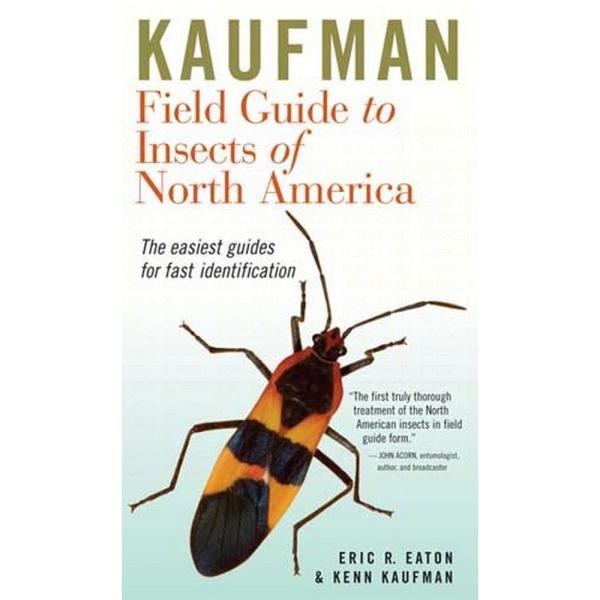 cover of book features a picture of an orange and black bug 